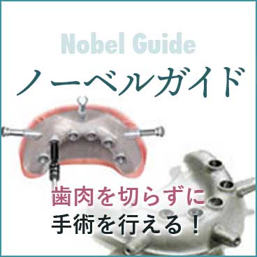 ノーベルガイド